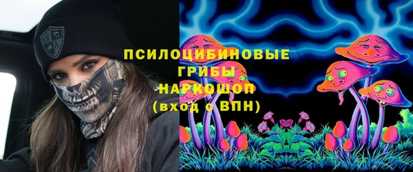 ПСИЛОЦИБИНОВЫЕ ГРИБЫ Вязники